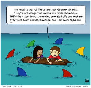 Google Sharks Cartoon
