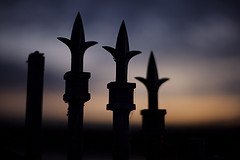 Sentry on the sunset