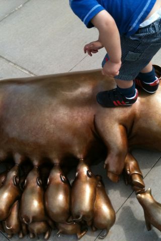 My son walking on a pig at Happy Hollow park in San Jose